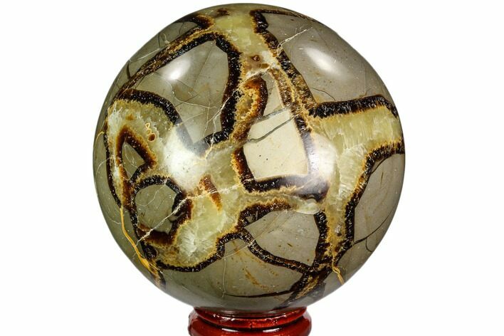 Polished Septarian Sphere - Madagascar #110668